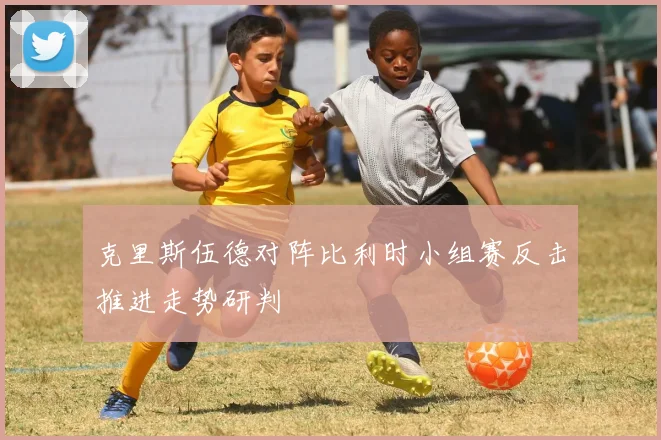 克里斯伍德对阵比利时小组赛反击推进走势研判