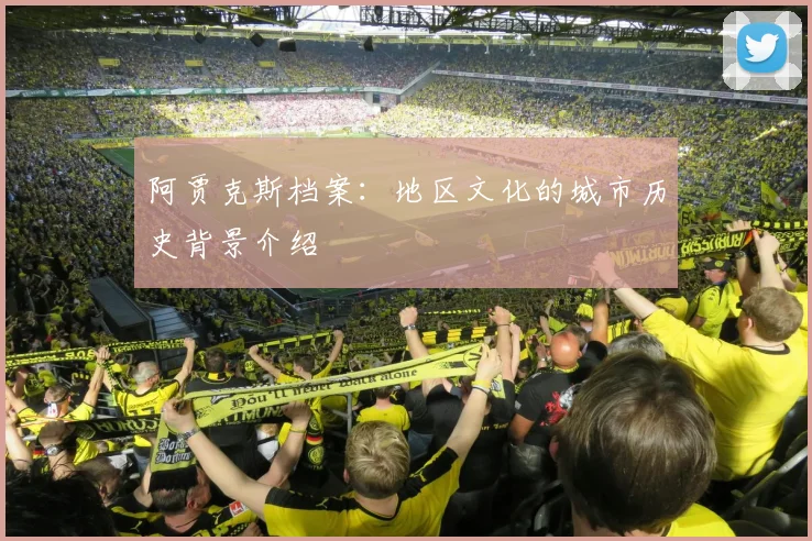 阿贾克斯档案:地区文化的城市历史背景介绍